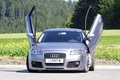 Vertikální otevírání dveří LSD Audi S3 typ 8P (03/03-) 3dv. | 